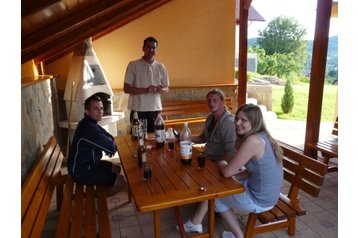 Частен дом Mojtín 4